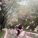 아테헤어 | 남위례역 아테라 미용실 미디움 레이어드 & 멜로...머리가 될까? | 아이디헤어 산성역점 서빈선임수석실장