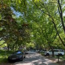 인주 | 천안 인주카페 풍경점 후기｜애견동반 3만평 대형카페