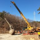 강릉청솔공원 이미지