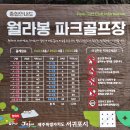 신효동-17 이미지