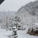 양양군양양댁 이미지