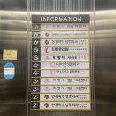 삐땅기의원 | 삐땅기의원 라라필