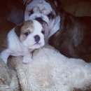 구니구니 이미지