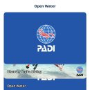 지M Tourist Hostel | [말레이시아/페낭여행] Day6. 푸켓 피피섬에서 말레이시아 페낭으로 (여자혼자 여행, 에어아시아 환승...