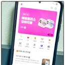 나성 펫 동물병원 | 강아지 동물병원 진료기록 관리 인투펫 강아지병원 후기