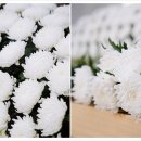 전남묘지관리공사 - 강진군 성남길 19 | 전남묘지관리공사