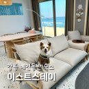 이스트스테이 | 강릉 애견동반 감성숙소 오션뷰 일출펜션 이스트스테이