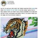 재안산동문회 주관의 여름캠프 행사 (홍천 내면의 광원캠프장 1박 2일) 이미지