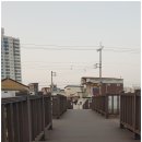 덕진-125 이미지