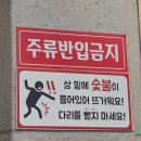 진주 불막열삼 금산점, 아이들과 첫 막창 도전 성공!