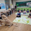 복흥초등학교 이미지