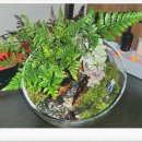 아쿠아플랜트디자인 이미지