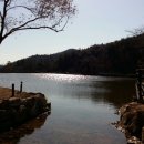 편백인 울산 이미지