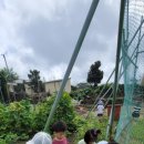 동산밭어린이집 이미지