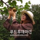 미소푸드 이미지