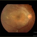 메디칼솔루션(Medical Solution) 이미지