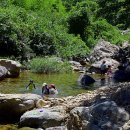 원동자연 휴양림 이미지