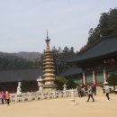 문수목장 Daum카페