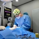 종로동물병원 이미지