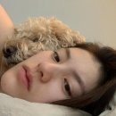 김용지 카카오 검색결과