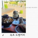 속초 뷰카페 도평커피 내돈내산 후기