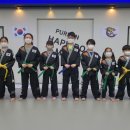 푸른합기도 이미지