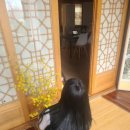 설화원 네이버블로그