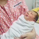 자모산부인과 노컷뉴스