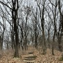 전주완산초등학교 | 전주 한옥마을과 완산 곤지산 완산공원 초보 등산 혹은...산책