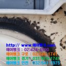 엘지약국 이미지