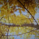 승기농장 이미지