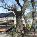 진남경로당 이미지