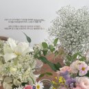 디어마이제이