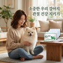 주식회사 본앤조인트 | 강아지 슬개골 탈구 관리 닥터바이 힙앤조인트 급여 솔직 리뷰