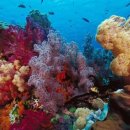 자포농장 이미지