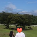 두화목장 이미지