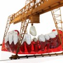 서울다루치과의원 이미지