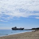 개인택시 영덕군지부 | 영덕여행 영덕관광택시 영덕타보게 오픈이벤트 이용후기