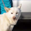 대길주유소 이미지