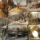 대연농장 이미지