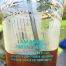 광주 도심 속 작은 제주｜송산목장 카페 양,말 방문 후기