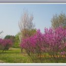 포천천2 이미지