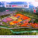 플로리아 티스토리