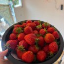 달빛아래채 이미지