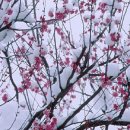 은혜동산 이미지