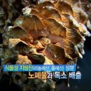 주식회사삼주 이미지