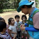 조하유치원 이미지