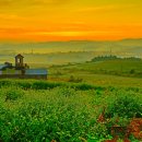 우리들 목장 이미지