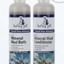 주식회사 데이원 이미지