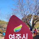 여주도자기, 고구마축제 이미지